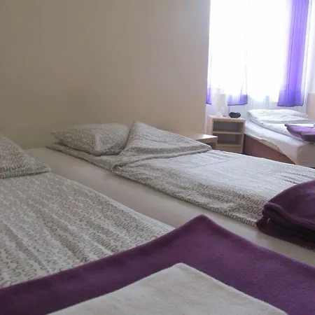 Euro-room & Apartment